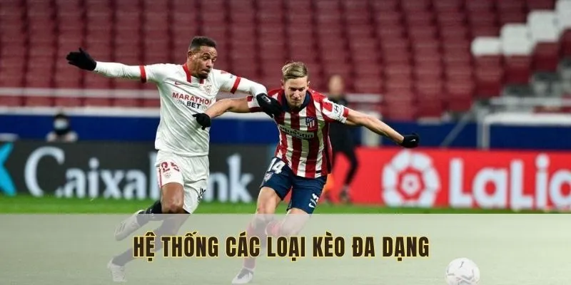 Người tham gia cần có hiểu biết rộng về bóng đá