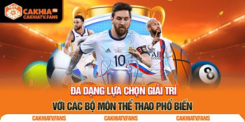 Đa dạng lựa chọn giải trí với các bộ môn thể thao phổ biến