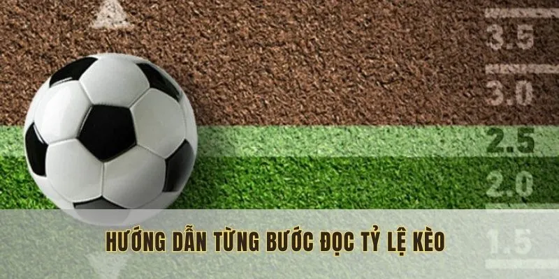 Thực hiện từng bước để dự đoán chính xác