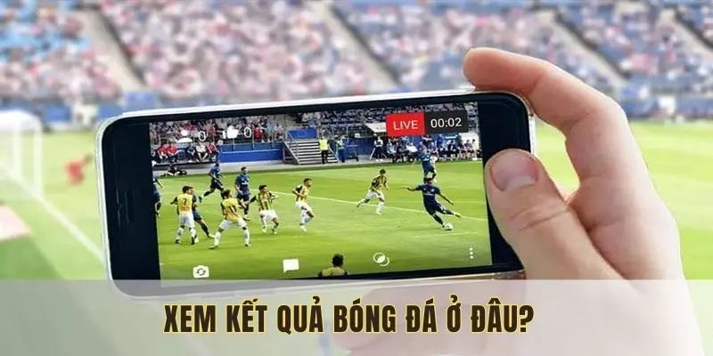 Xem kết quả bóng đá trực tiếp online trên kênh thể thao