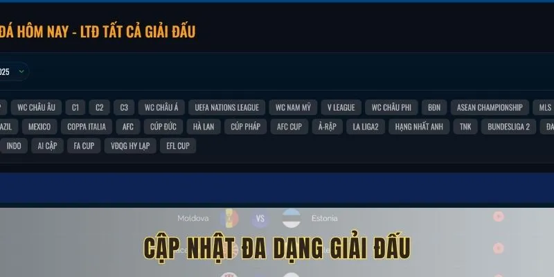 Bao gồm trong và ngoài nước