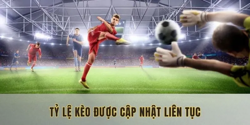 Giúp lựa chọn được thể loại yêu thích