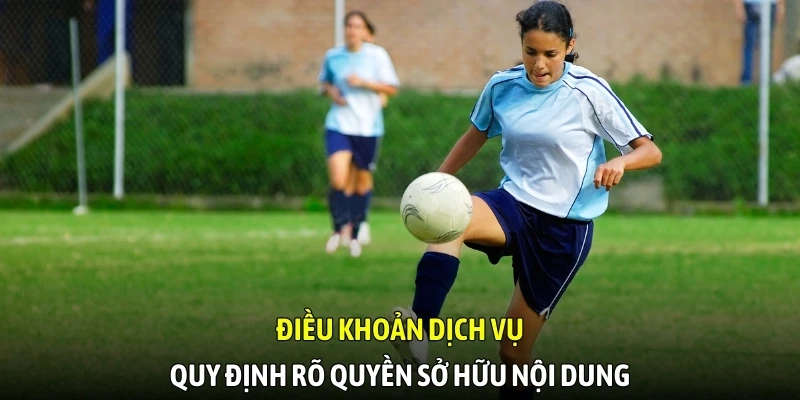 Điều khoản dịch vụ quy định rõ quyền sở hữu nội dung