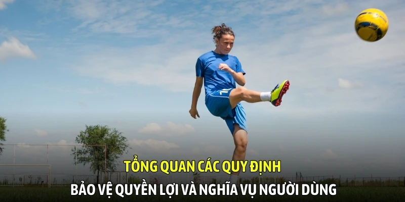 Tổng quan các quy định bảo vệ quyền lợi và nghĩa vụ người dùng