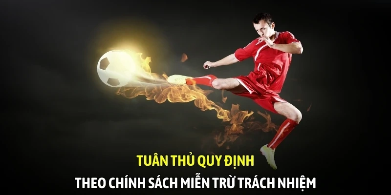 Tuân thủ quy định theo chính sách miễn trừ trách nhiệm